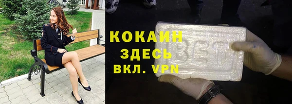 метадон Богданович