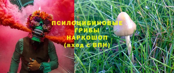 метадон Богданович