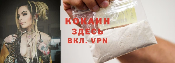 метадон Богданович