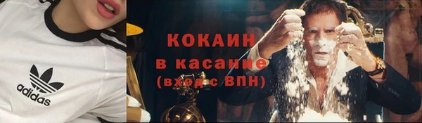 метадон Богданович