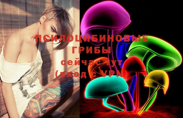 эйфоретик Богородицк