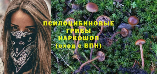 метадон Богданович