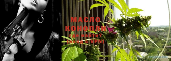 метадон Богданович