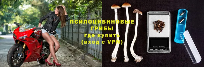 как найти закладки  Воркута  Псилоцибиновые грибы Psilocybe 