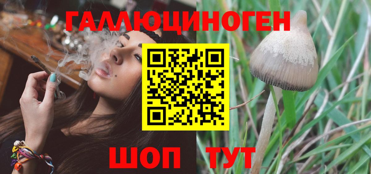 Псилоцибиновые грибы мухоморы Воркута